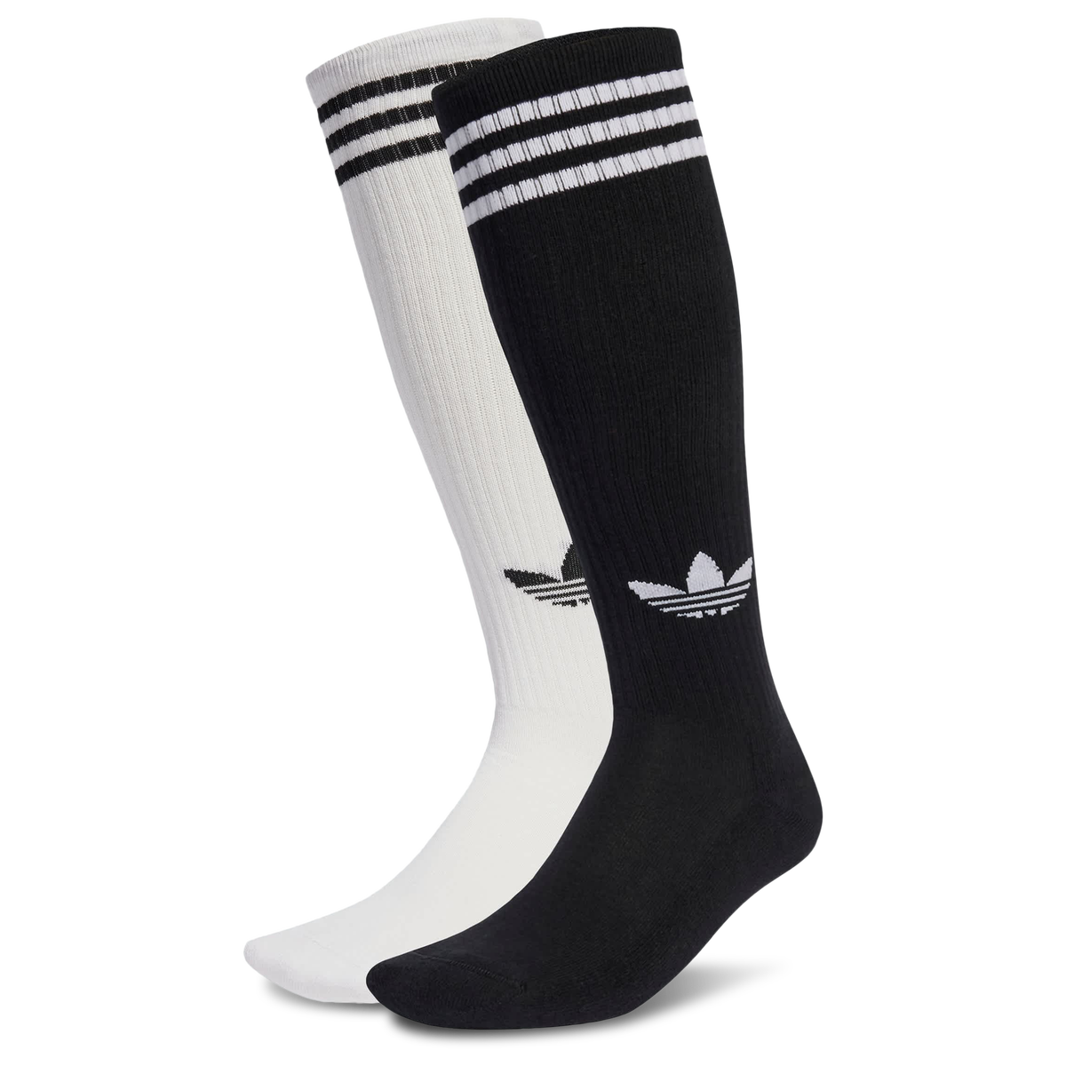 schuh Delight Leather Knee