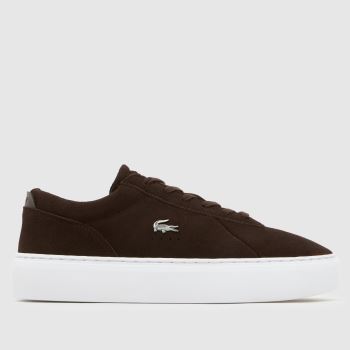 Lacoste Brown & White Courtset Mens Trainers