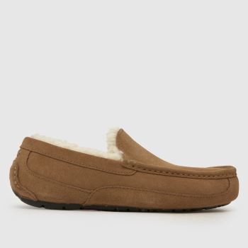 UGG Chestnut Ascot Mens Slippers